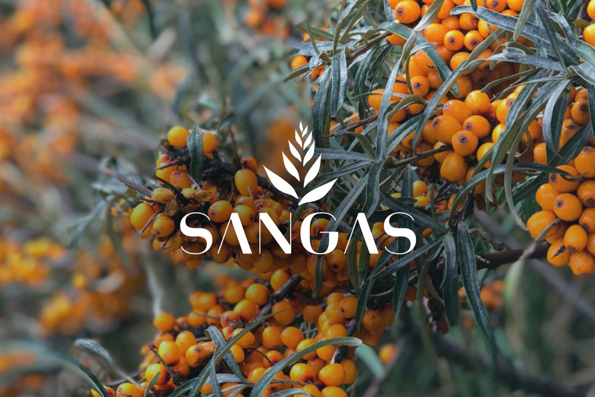 SANGAS visual identity